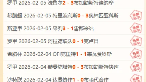 【原创】周二002澳超：布里斯班对阵纽喷气机赛事预测